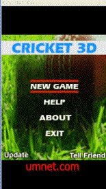 game pic for Cricket 3D